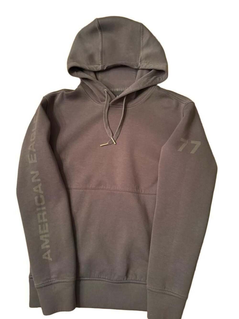 American Eagle Logo Hoodie in Grey h1364